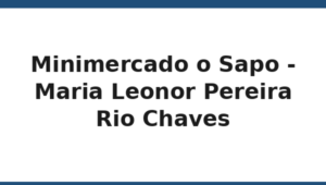 193_minimercado-o-sapo-maria-leonor-pereira-rio-chaves
