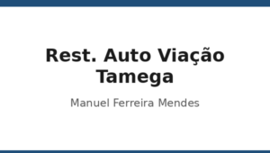 213_rest-auto-viacao-tamega-manuel-ferreira-mendes