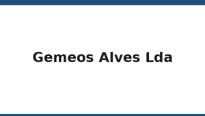 365_gemeos-alves-lda